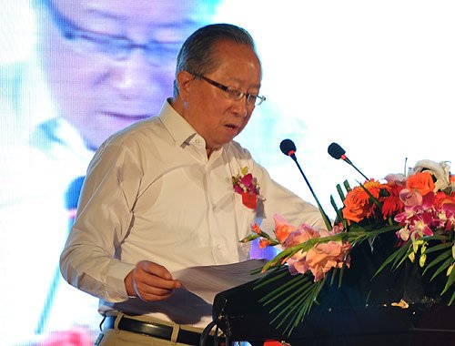 高新民:2015年中國網(wǎng)民能夠達到7到8個億