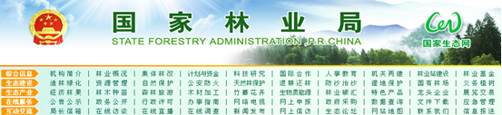 [2009特色評選] 國家林業(yè)局網(wǎng)站榮獲“品牌欄目獎”