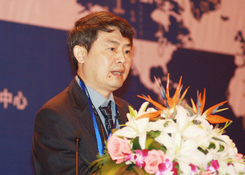 汪向東：把握國際新動向，推進(jìn)政府網(wǎng)站國際化