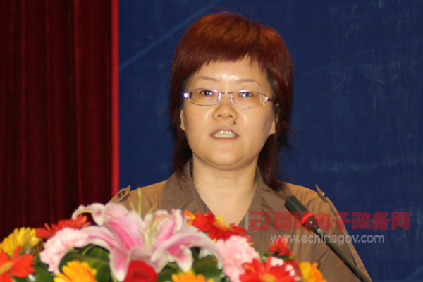 省級政府網站外文版建設總體情況排名表