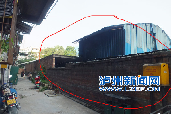 data-cke-saved-src="/uploadfile/2013/1115/20131115070018523.jpg"