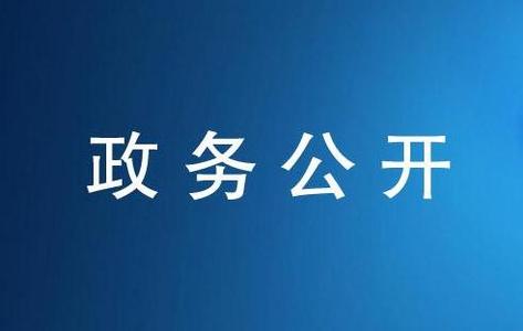 國務(wù)院辦公廳關(guān)于印發(fā)2016年政務(wù)公開工作要點(diǎn)的通知