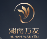 湖南萬友智能技術(shù)發(fā)展有限公司