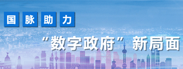 國脈助力數(shù)字政府新局面