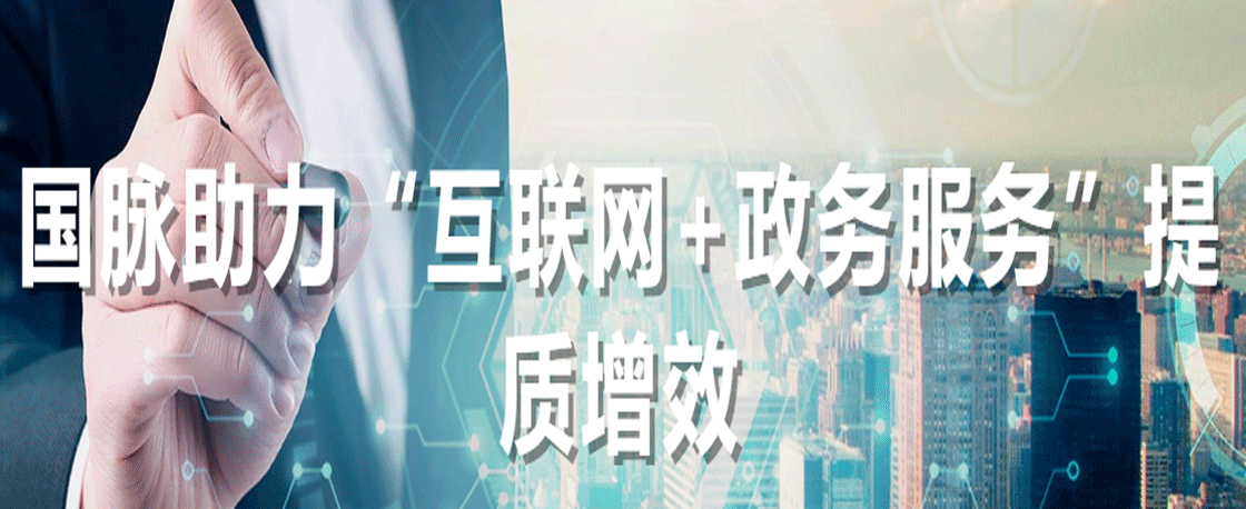 國脈助力“互聯(lián)網(wǎng)+政務服務”提質增效