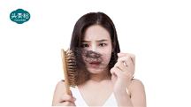 新時(shí)代焦慮之年輕人脫發(fā)，別怕頭青松來(lái)幫你