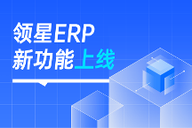 亞馬遜ERP領(lǐng)星功能上新 | 讓跨境業(yè)務(wù)運(yùn)營和管理更具效益！