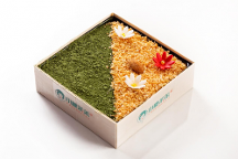 “厚切優(yōu)格提拉米蘇”，盤一盤小糖茉茉家的招牌甜品