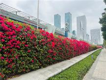 “春暖花開 只等你來”第 一屆深圳國際復材展將于3月23日開幕