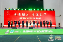 “和美魏縣，梨享天下”魏縣鴨梨產(chǎn)業(yè)發(fā)展研討會圓滿落幕！