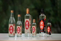 春糖頂流 高燃收官 | 能賦·米燒征程不止，勇毅前行耀未來！