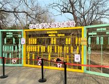 從《紅樓夢》到未來;書香家庭故事-孩子閱讀的培養(yǎng)