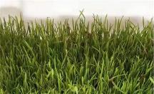 厚德珍硒: 聚焦生物科學(xué)領(lǐng)域，深究富硒研發(fā)技術(shù)