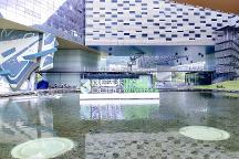 王石創(chuàng)立“生物圈三號”發(fā)起“雙碳同行者大會”，綠色家居企業(yè)參與其中