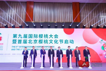 北京、澄城兩地同時點(diǎn)亮櫻桃行業(yè)的“奧運(yùn)會”！