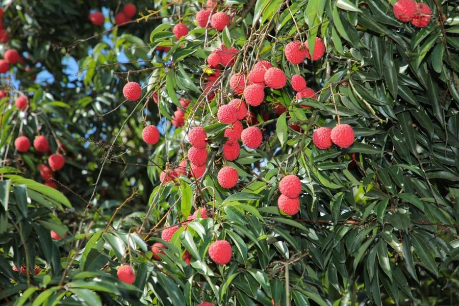 4b9221c0c00804f8565cb84c73efa3b