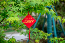 中駿·璟頌雅苑實(shí)景兌現(xiàn)，中駿黃朝陽(yáng)帶領(lǐng)中駿再次拓土