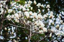 花香共富路，鄉(xiāng)村煥新顏，幫忙APP培養(yǎng)新農村勞動力