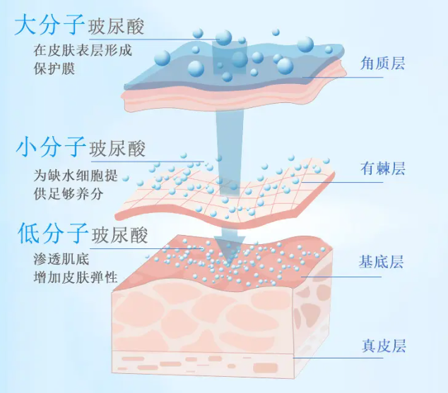 QQ截圖20230731153736.png QQ截圖20230731153736.png