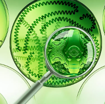 丹姿集團(tuán)“太空育種”技術(shù)取得突破，“H11太空藻”專(zhuān)注干皮修護(hù)