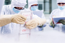 全力驅動干細胞產業(yè)發(fā)展 中源協(xié)和干細胞臨床備案成果累累