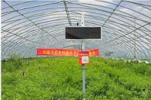 馬明哲：深化戰(zhàn)略，修煉內(nèi)功，收獲新時(shí)期的高質(zhì)量發(fā)展