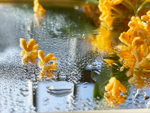 千年舟鋅效抗菌2.0系列健康板材，以超硬核實(shí)力守衛(wèi)家居健康