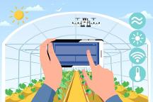 “認養(yǎng)”+“農(nóng)業(yè)”怎么玩？超級碼認養(yǎng)云平臺——打通產(chǎn)供銷，助農(nóng)增收促振興