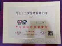 瞄準(zhǔn)新賽道，促進(jìn)新發(fā)展，河北十二河化肥有限公司榮獲央視品牌展播