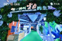 探館第 9 屆南博會(huì)“住在云南”展區(qū)：解碼詩意棲居的云南答案