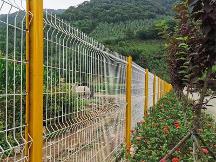 2026年在龍巖想找靠譜的圈山圈地護(hù)欄網(wǎng)、公路鐵路護(hù)欄網(wǎng)、機(jī)場(chǎng)護(hù)欄網(wǎng)、監(jiān)獄護(hù)欄網(wǎng)、車間護(hù)欄網(wǎng)廠家？快來(lái)一探究竟！