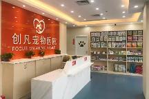 2026年深圳靠譜寵物骨科醫(yī)生盤點(diǎn)，口碑好值得托付